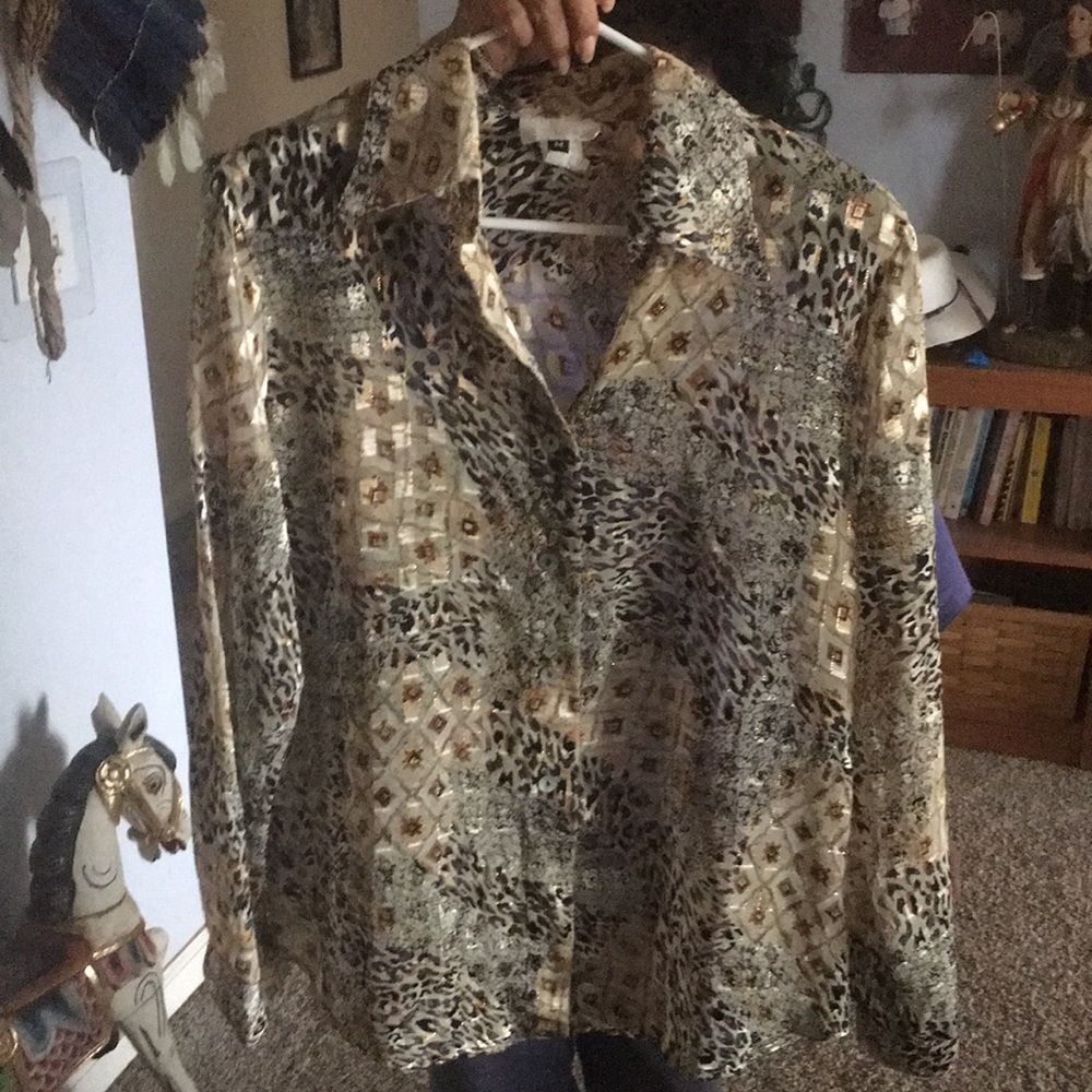Dressy Klassy Blouse